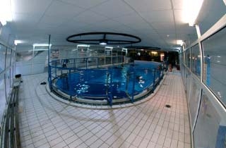  Plongee em um poço em Paris 